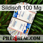 Sildisoft 100Mg kamagra1